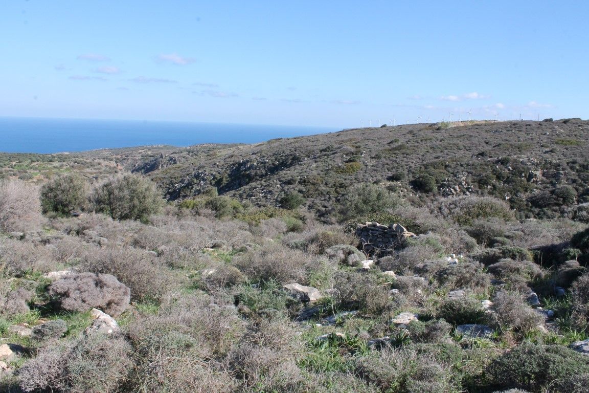 Land in Lasithi, Greece, 5 300 m² - picture 1