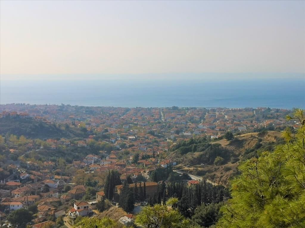 Terrain en Sithonie, Grèce, 5 000 m² - image 1