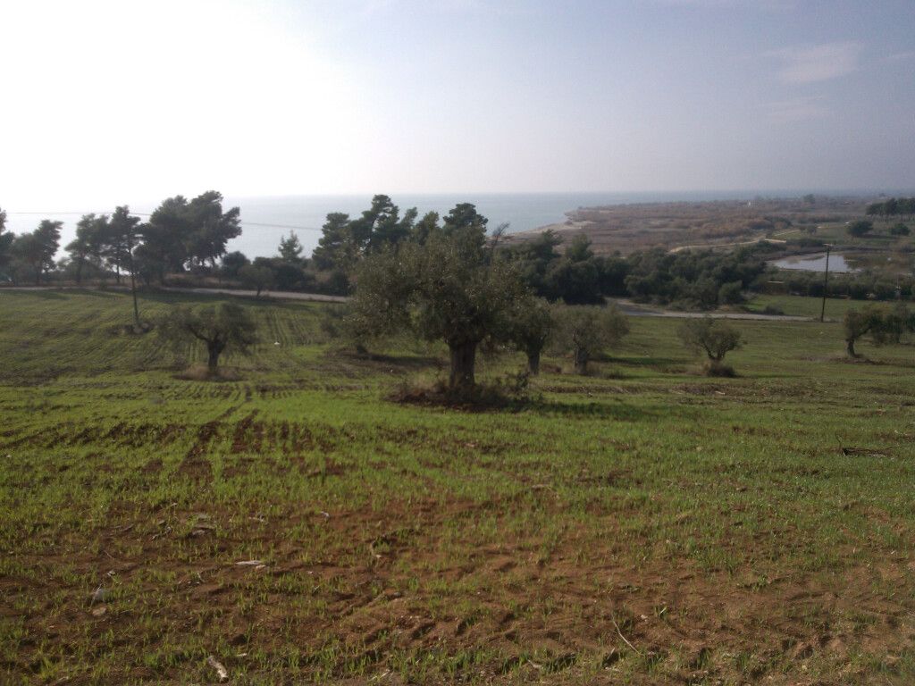 Terreno en Calcídica, Grecia, 45 000 m² - imagen 1