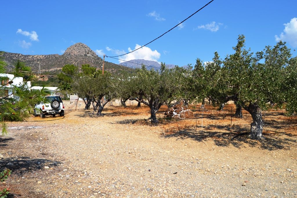 Grundstück in Ierapetra, Griechenland, 5 500 m² - Foto 1