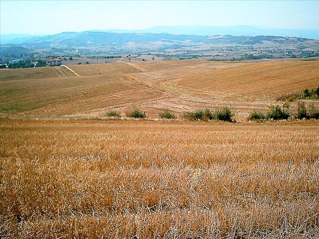 Terrain sur le Mont Athos, Grèce, 11 200 m² - image 1