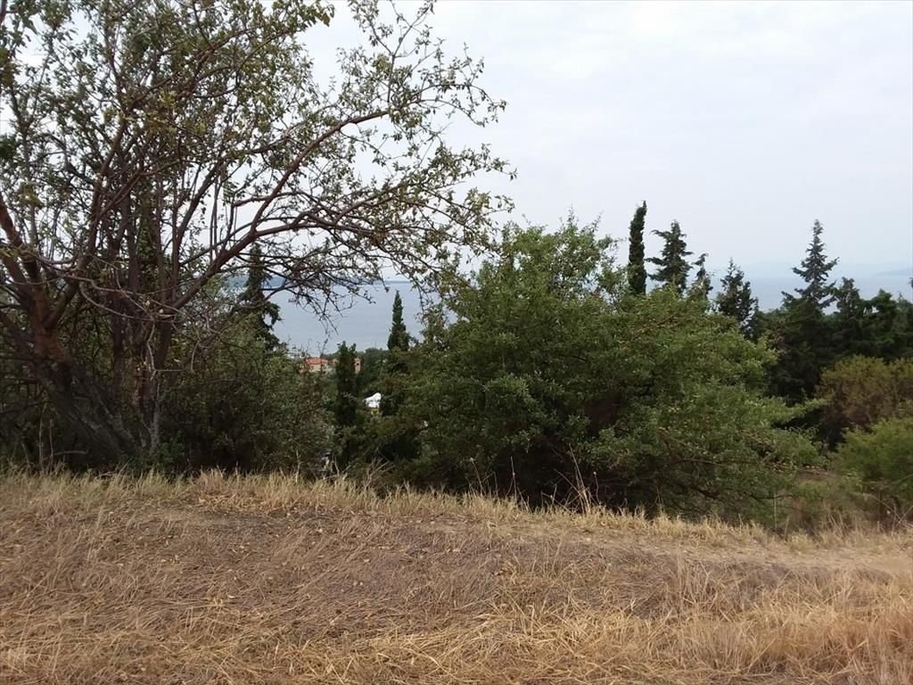 Terrain sur le Mont Athos, Grèce, 13 000 m² - image 1