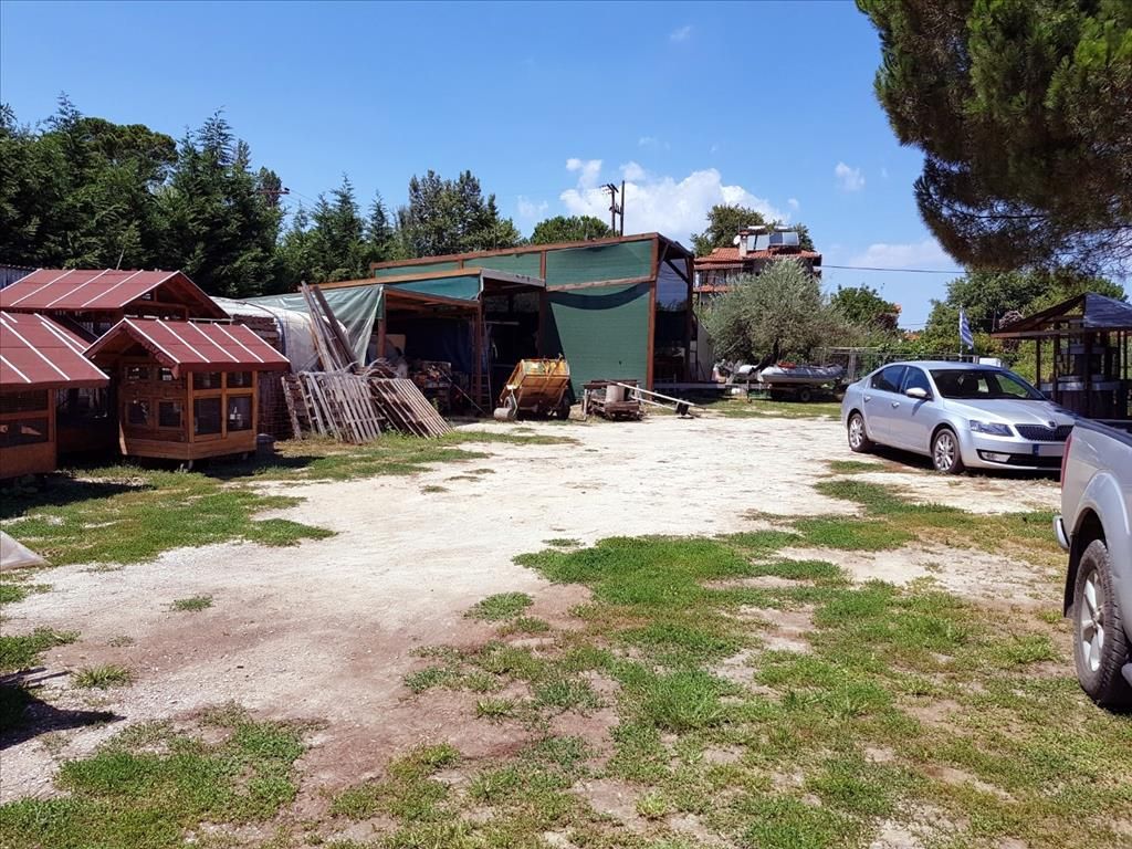 Terrain en Chalcidique, Grèce, 1 232 m² - image 1