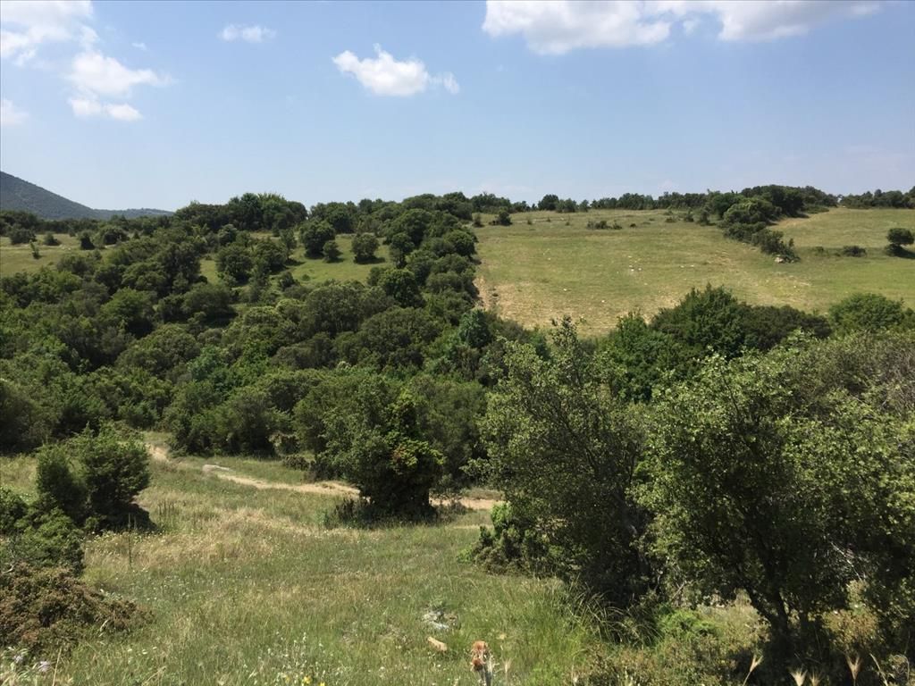 Terreno en Salónica, Grecia, 12 100 m² - imagen 1