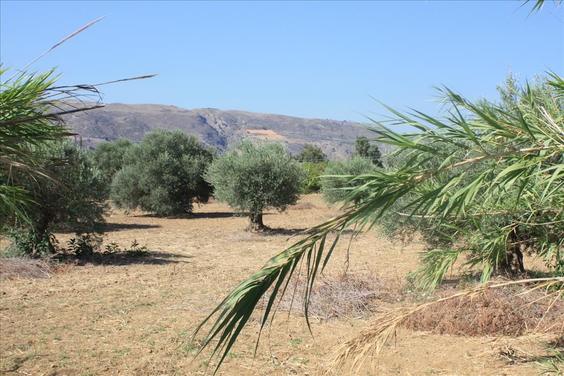 Land in Chania, Greece, 10 500 m² - picture 1