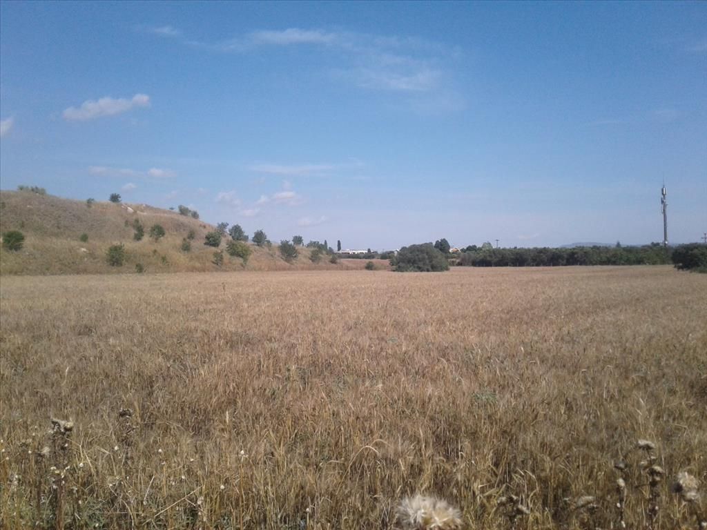Land in Thessaloniki, Greece, 15 000 m² - picture 1