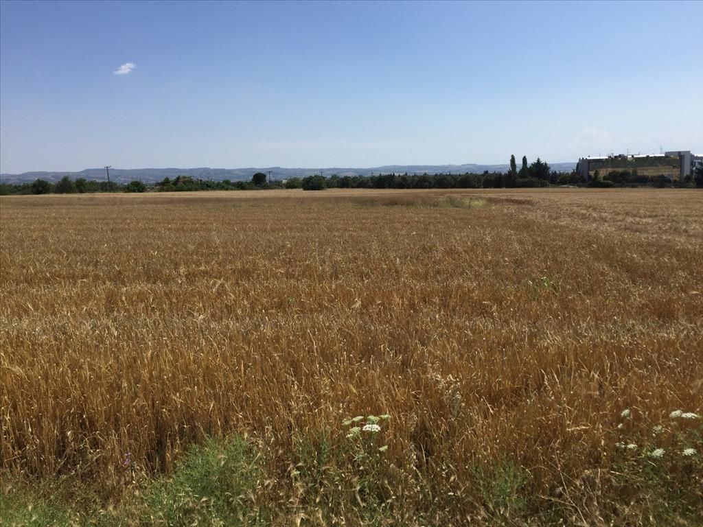 Terrain à Thessalonique, Grèce, 16 000 m² - image 1