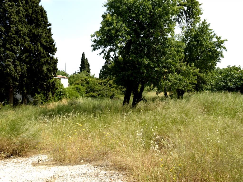 Land in Nea Makri, Greece, 2 100 m² - picture 1
