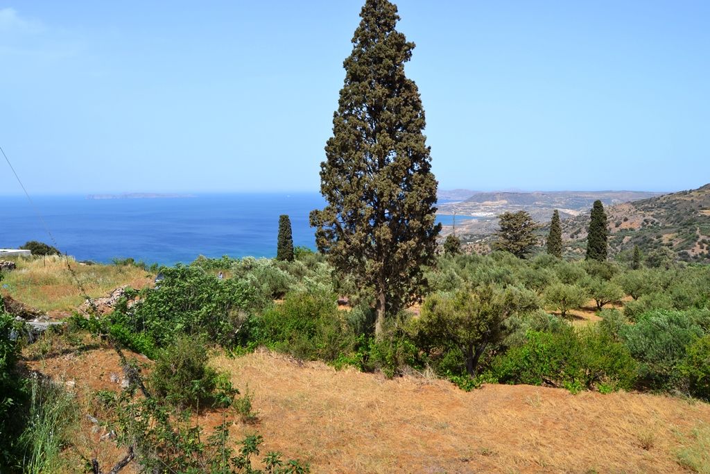 Land in Lasithi, Greece, 2 700 m² - picture 1