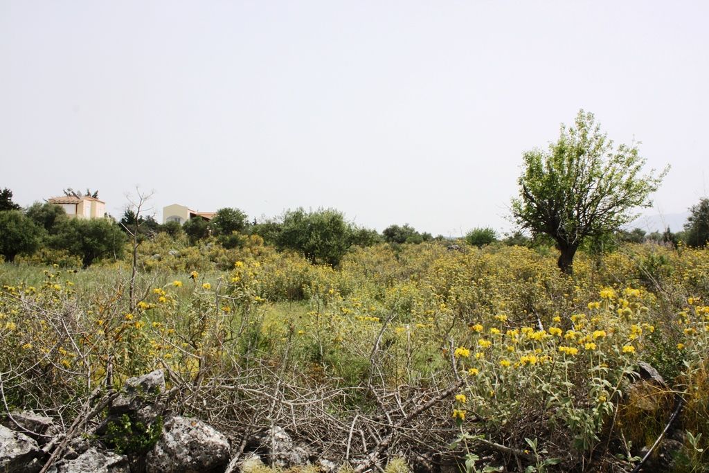 Terrain à La Canée, Grèce, 4 200 m² - image 1