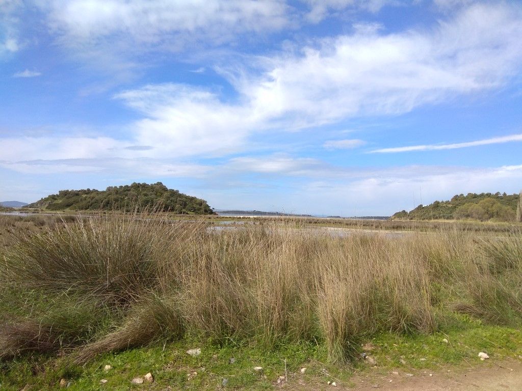 Grundstück in Sithonia, Griechenland, 2 250 m² - Foto 1