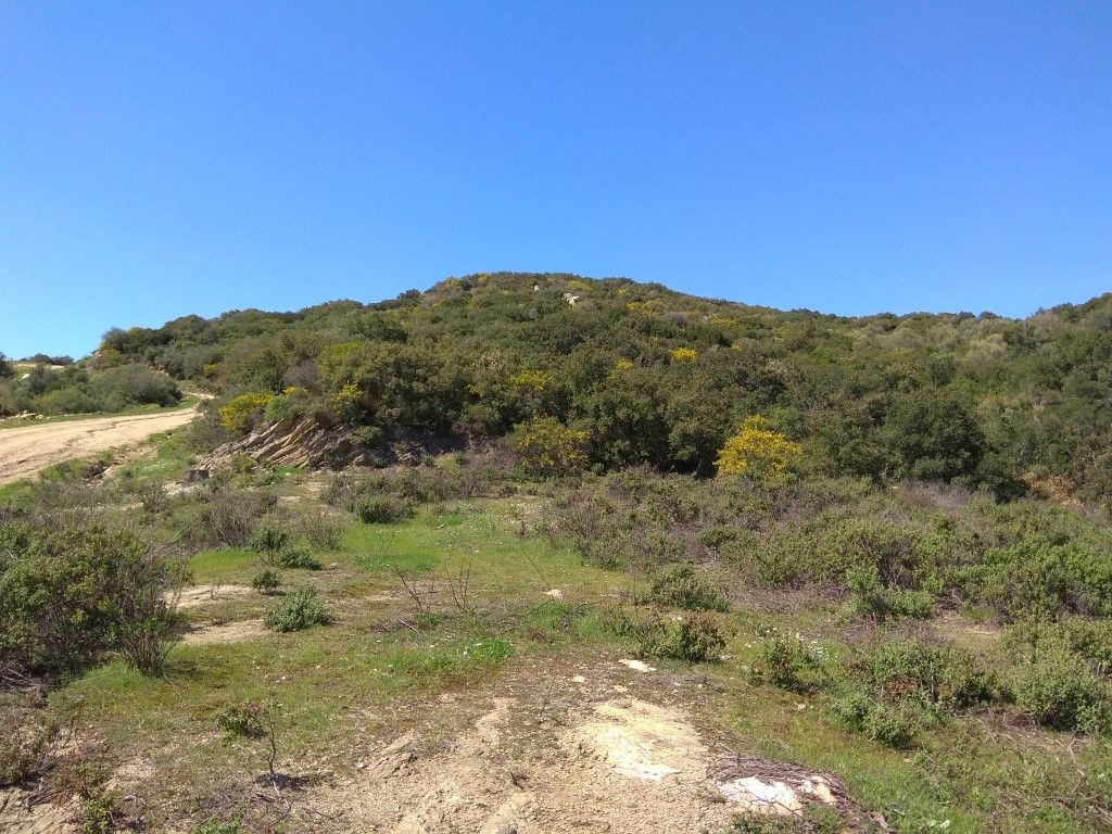 Land in Chalkidiki, Greece, 13 500 m² - picture 1