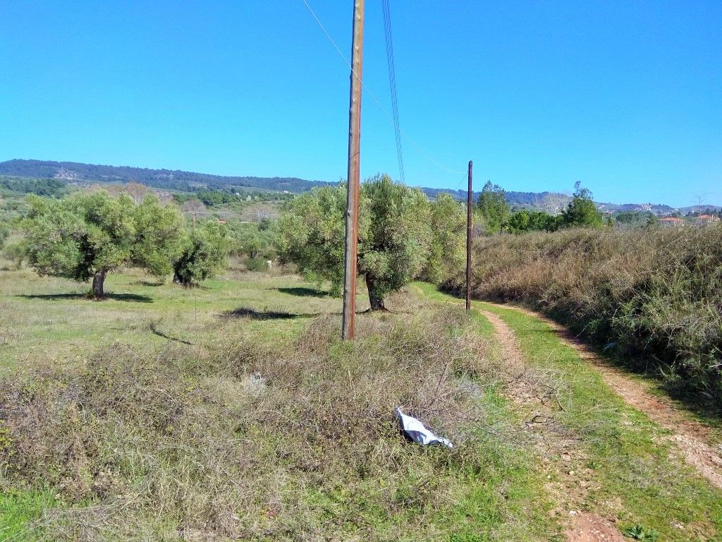 Grundstück in Sithonia, Griechenland, 5 200 m² - Foto 1