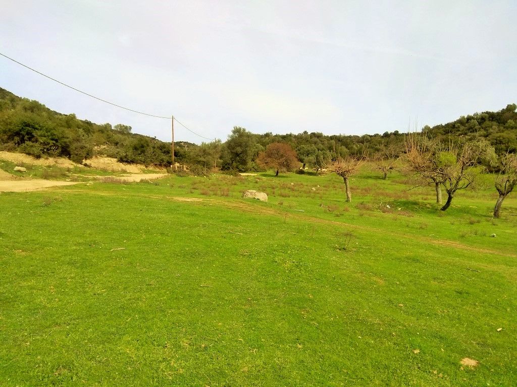 Terrain en Sithonie, Grèce, 3 300 m² - image 1