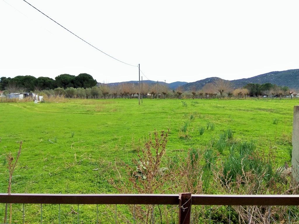 Terreno en Sitonia, Grecia, 2 650 m² - imagen 1