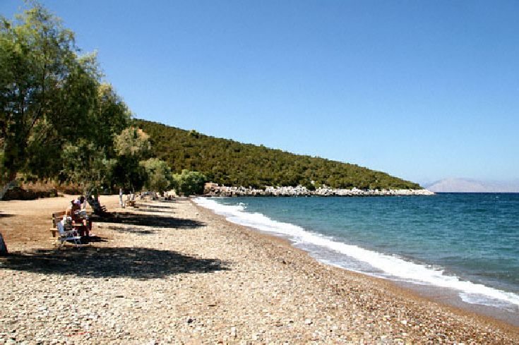 Land in Boiothia, Greece, 9 200 m² - picture 1