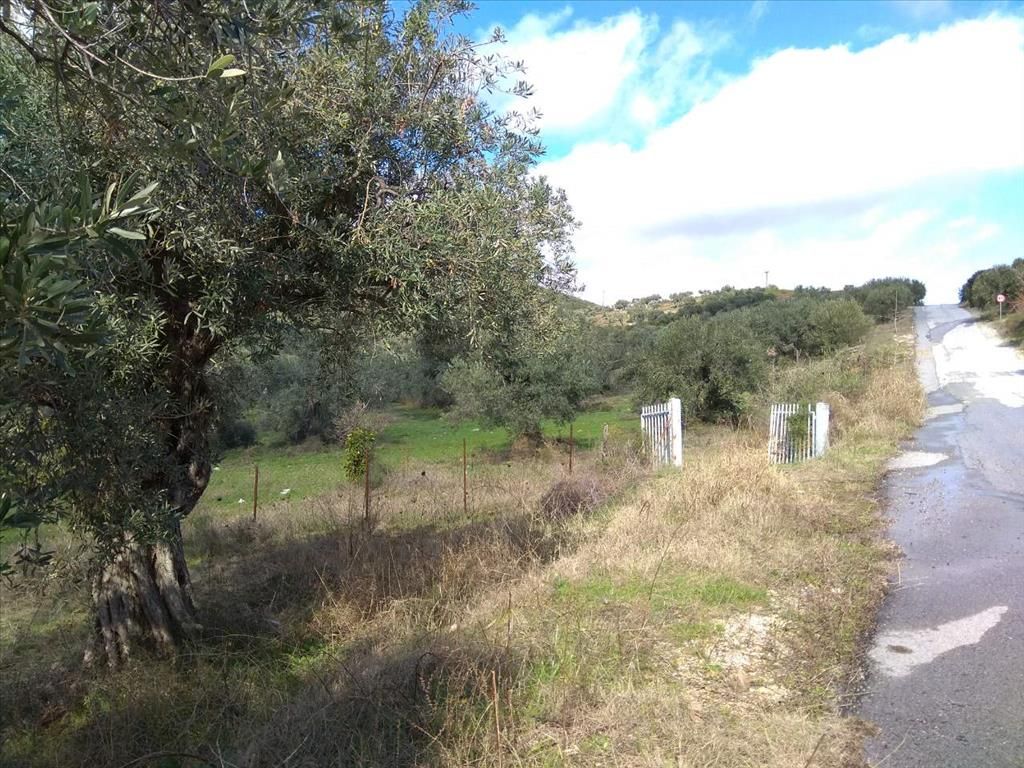 Terreno en Sitonia, Grecia, 3 450 m² - imagen 1