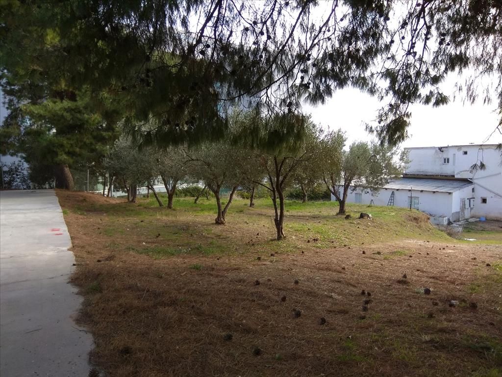 Land in Sithonia, Greece, 900 m² - picture 1