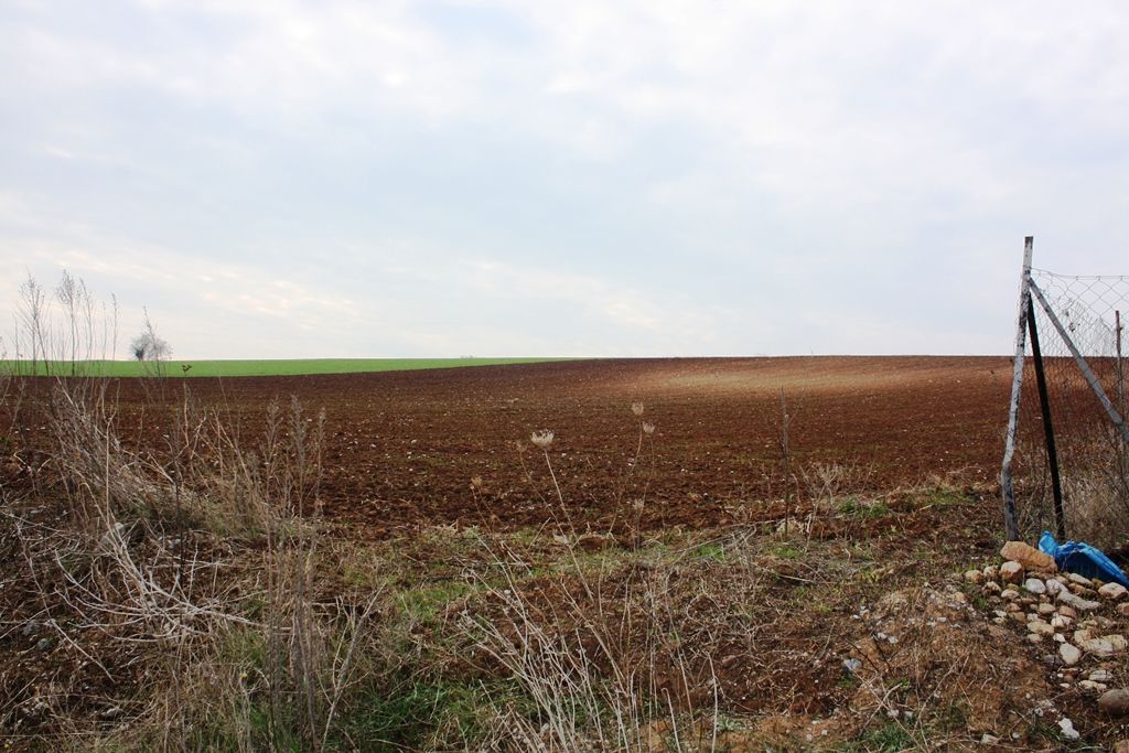 Terrain à Thessalonique, Grèce, 11 500 m² - image 1