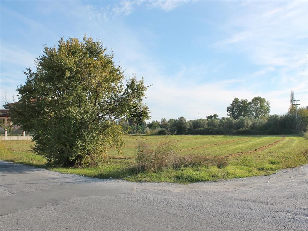 Terrain à Piérie, Grèce, 2 556 m² - image 1