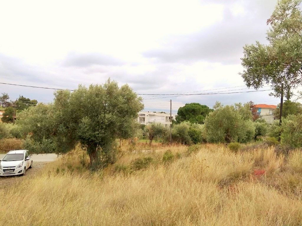 Grundstück in Chalkidiki, Griechenland, 6 500 m² - Foto 1