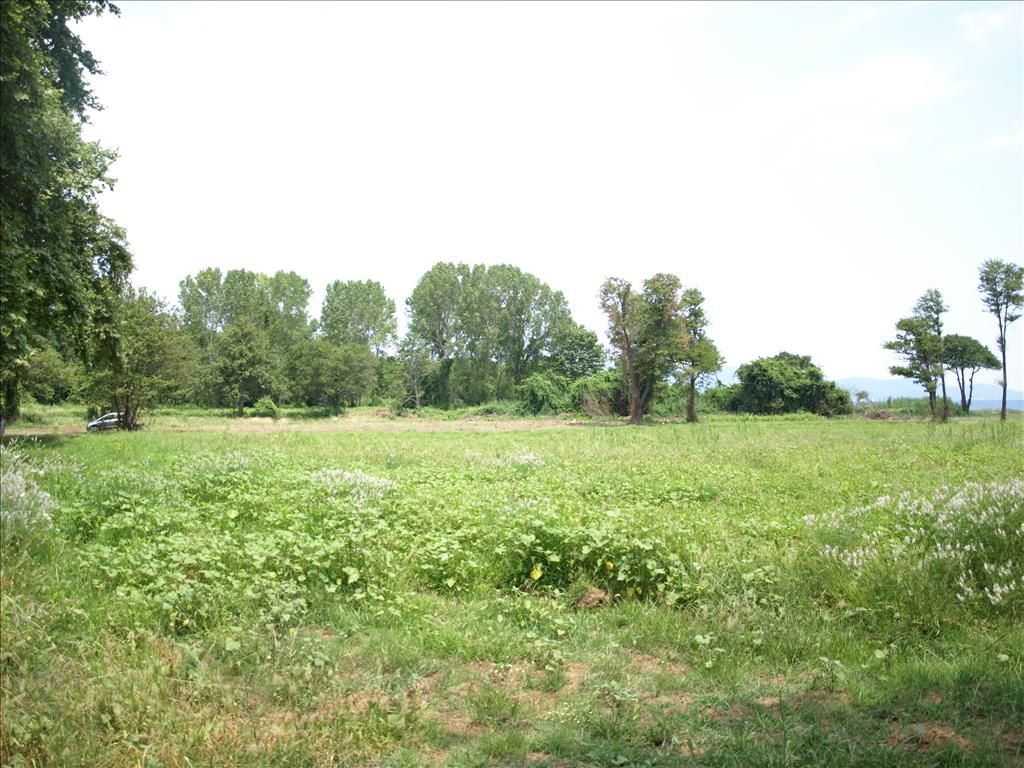 Grundstück in Chalkidiki, Griechenland, 10 045 m² - Foto 1