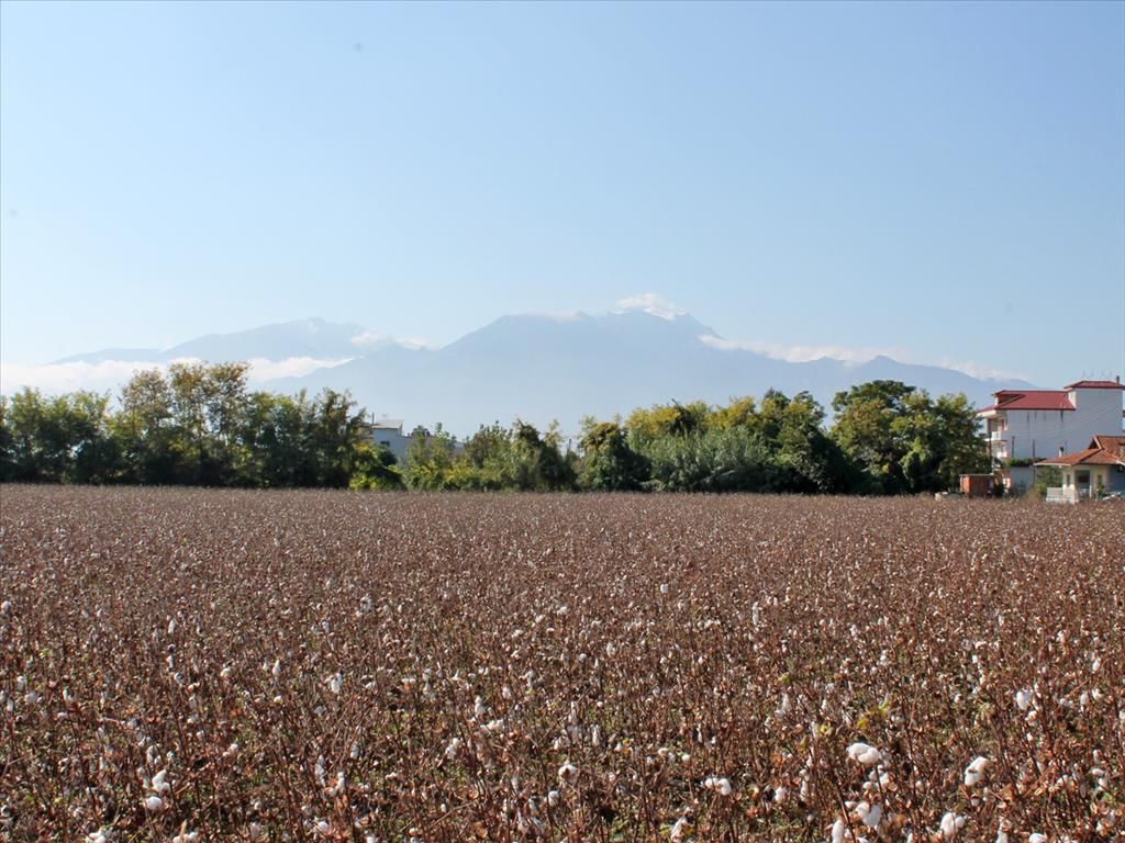 Terrain à Piérie, Grèce, 7 000 m² - image 1