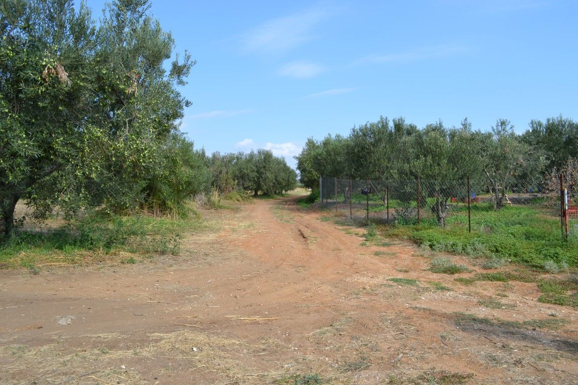 Terreno en Calcídica, Grecia, 12 375 m² - imagen 1