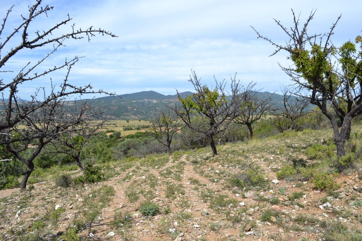 Terreno en Calcídica, Grecia, 20 000 m² - imagen 1