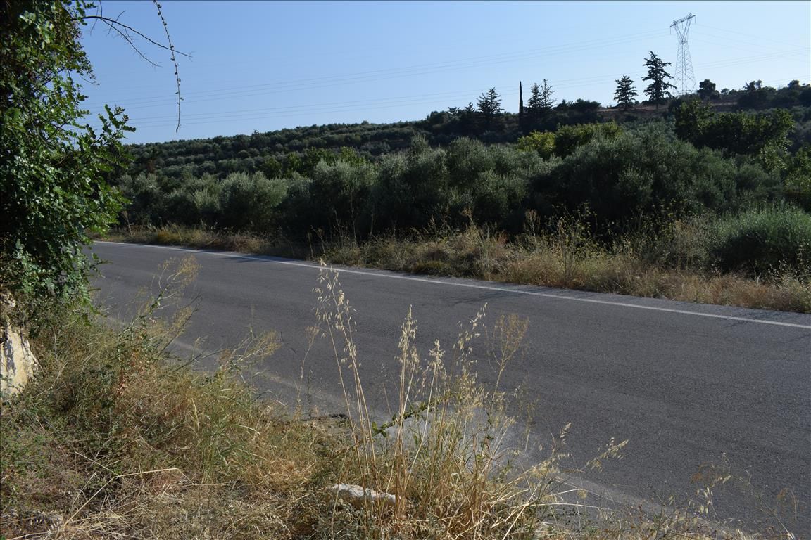 Land in Rethymno prefecture, Greece, 8 500 m² - picture 1