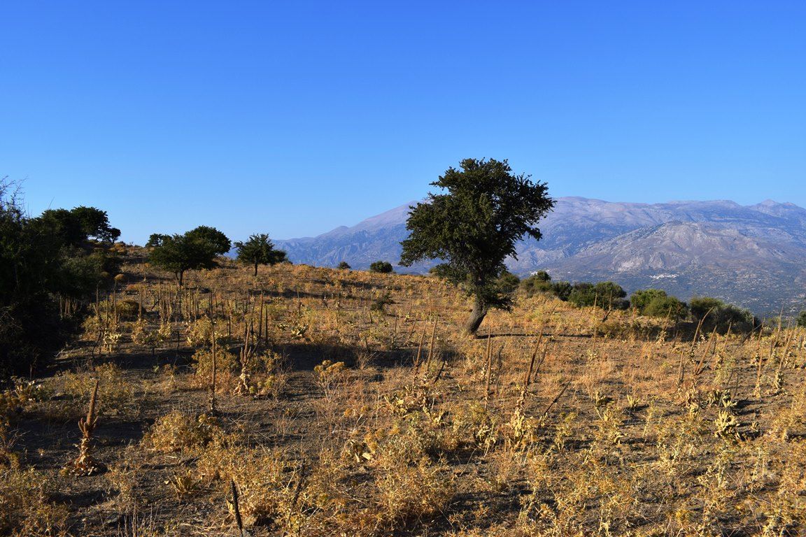 Terrain dans la préfecture de Réthymnon, Grèce, 60 000 m² - image 1