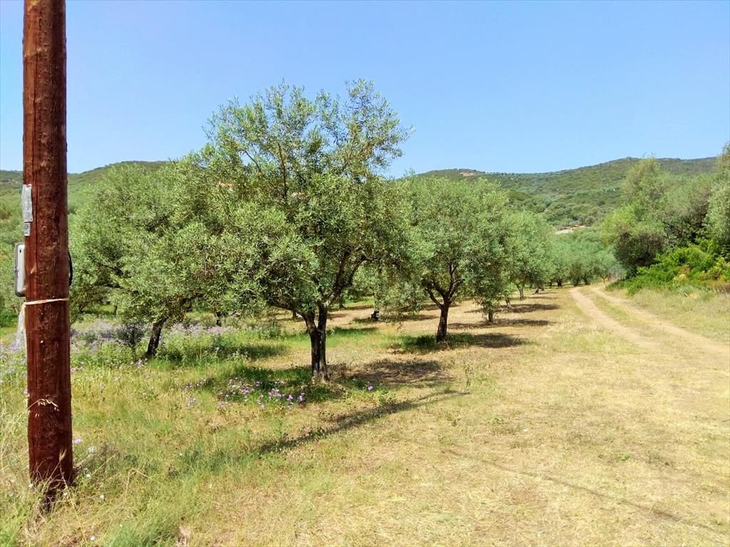 Land in Sithonia, Greece, 2 920 m² - picture 1