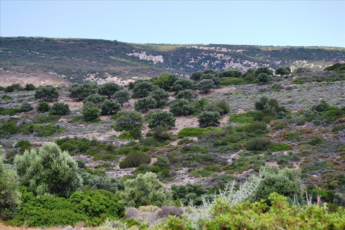 Terrain dans la préfecture d'Héraklion, Grèce, 10 110 m² - image 1