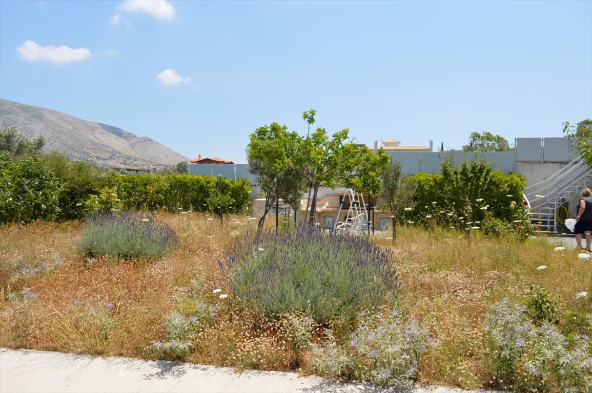 House in Lagonisi, Greece, 300 m² - picture 1