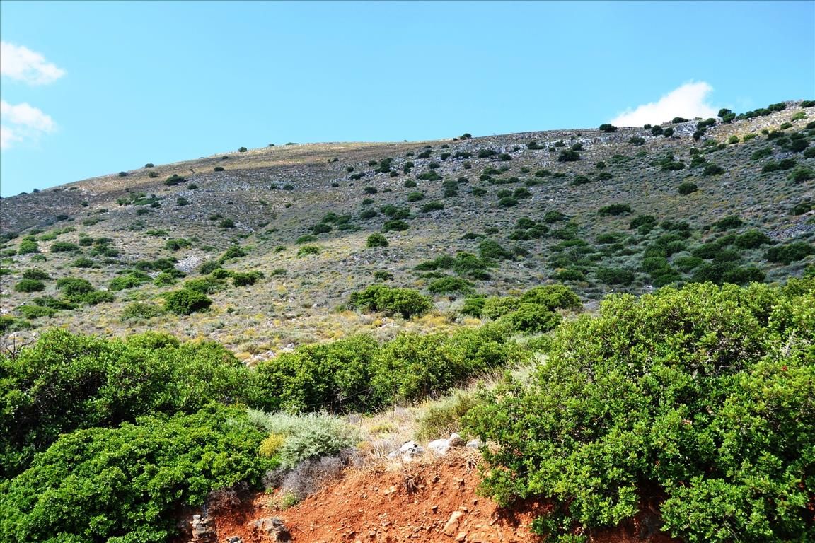 Terrain à Lassíthi, Grèce, 4 860 m² - image 1