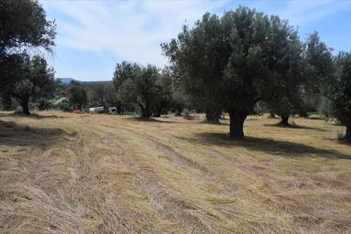 Terrain dans la préfecture de Réthymnon, Grèce, 5 400 m² - image 1