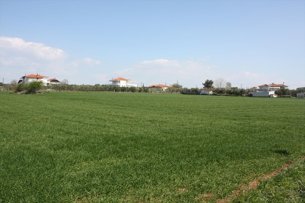 Land in Thessaloniki, Greece, 8 000 m² - picture 1