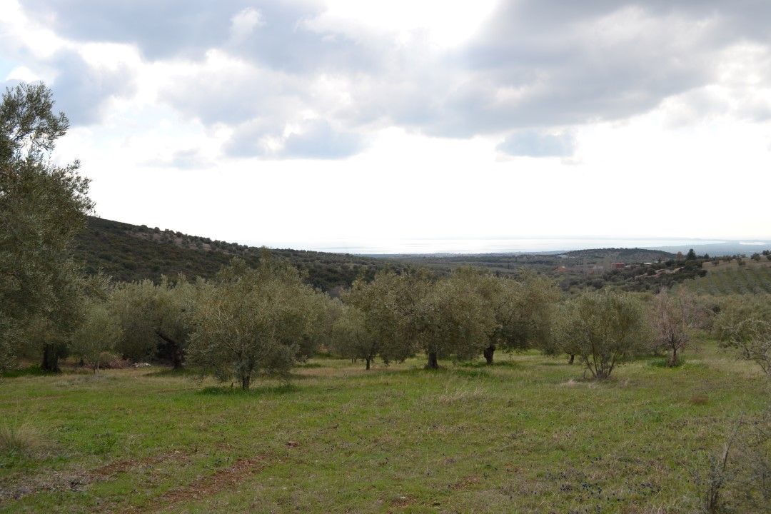 Terreno en Poligiros, Grecia, 105 000 m² - imagen 1