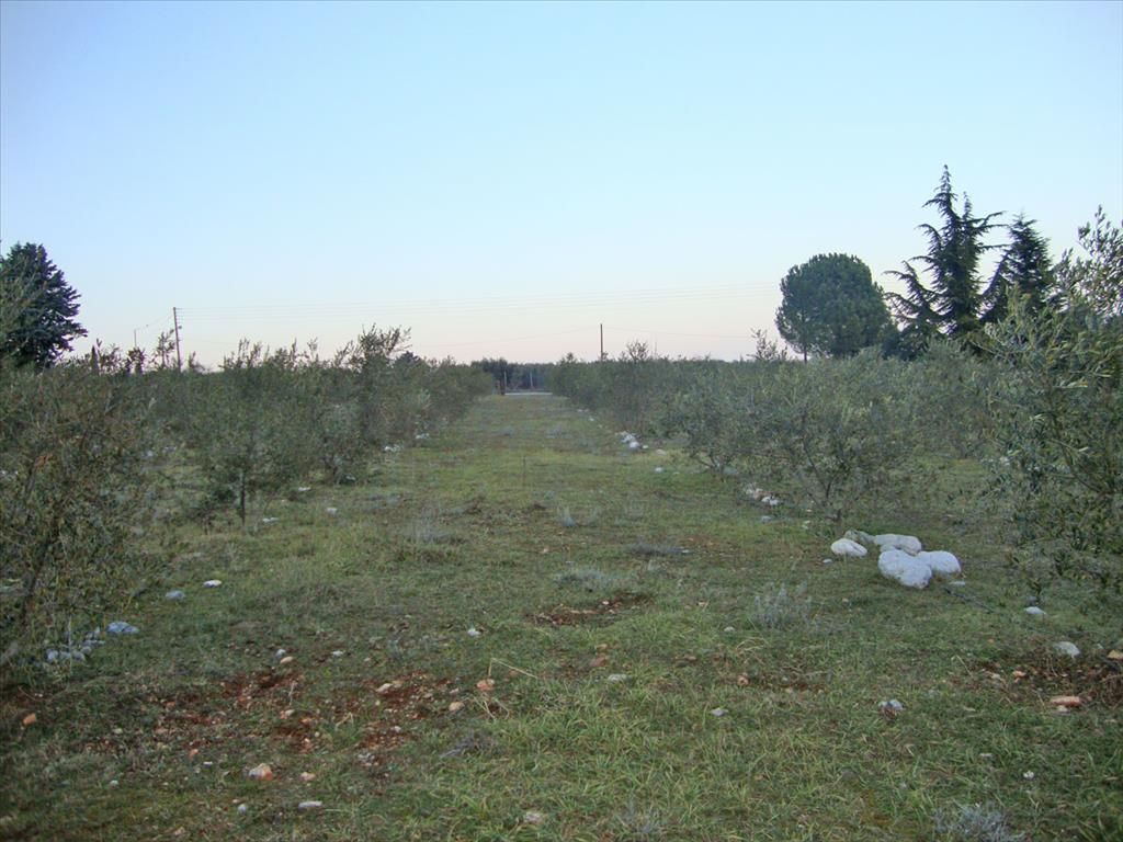 Land in Pieria, Greece, 4 300 m² - picture 1