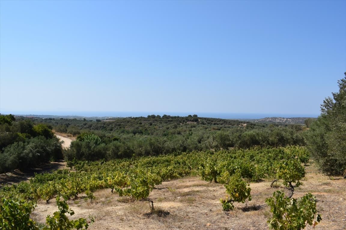 Terrain à Réthymnon, Grèce, 8 300 m² - image 1