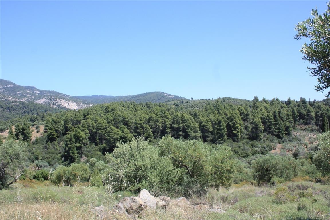 Land in Sithonia, Greece, 4 990 m² - picture 1