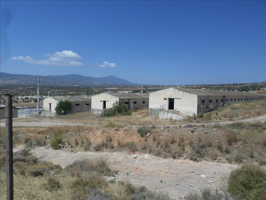 Terreno en Salamina, Grecia, 22 000 m² - imagen 1