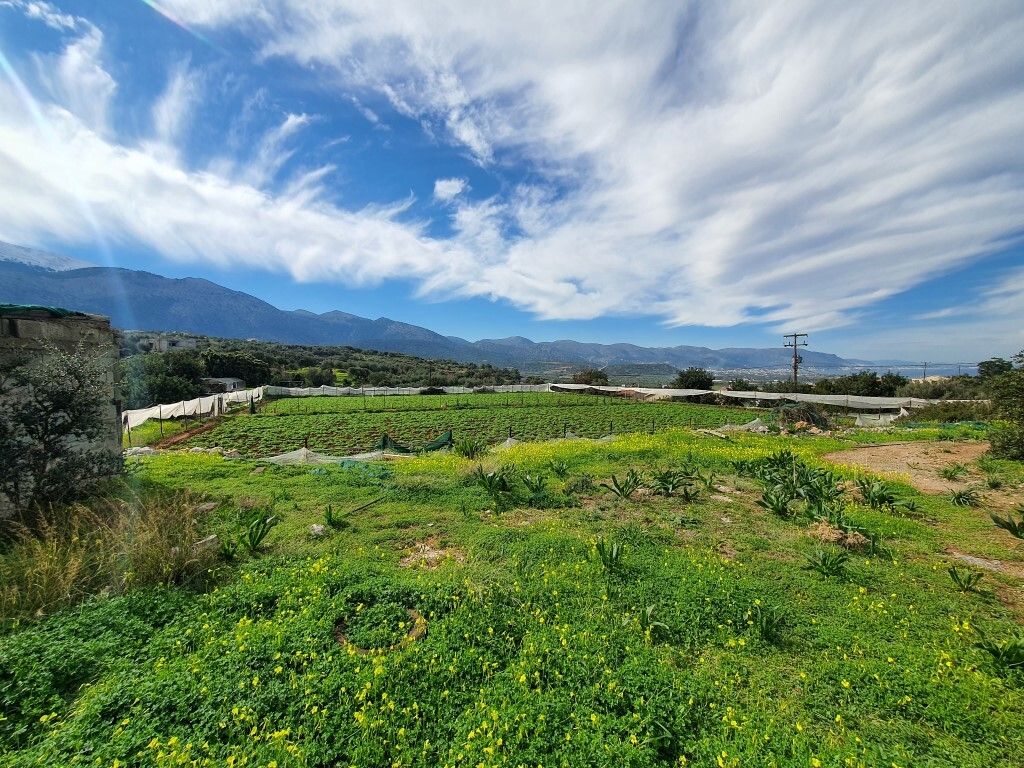 Terrain à Héraklion, Grèce, 10 000 m² - image 3