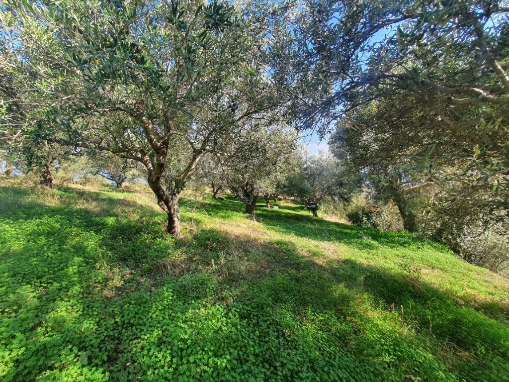 Land in Heraklion, Greece, 1 500 m² - picture 3