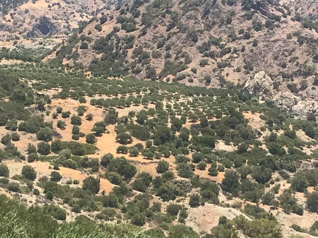 Land in Heraklion, Greece, 30 000 m² - picture 3