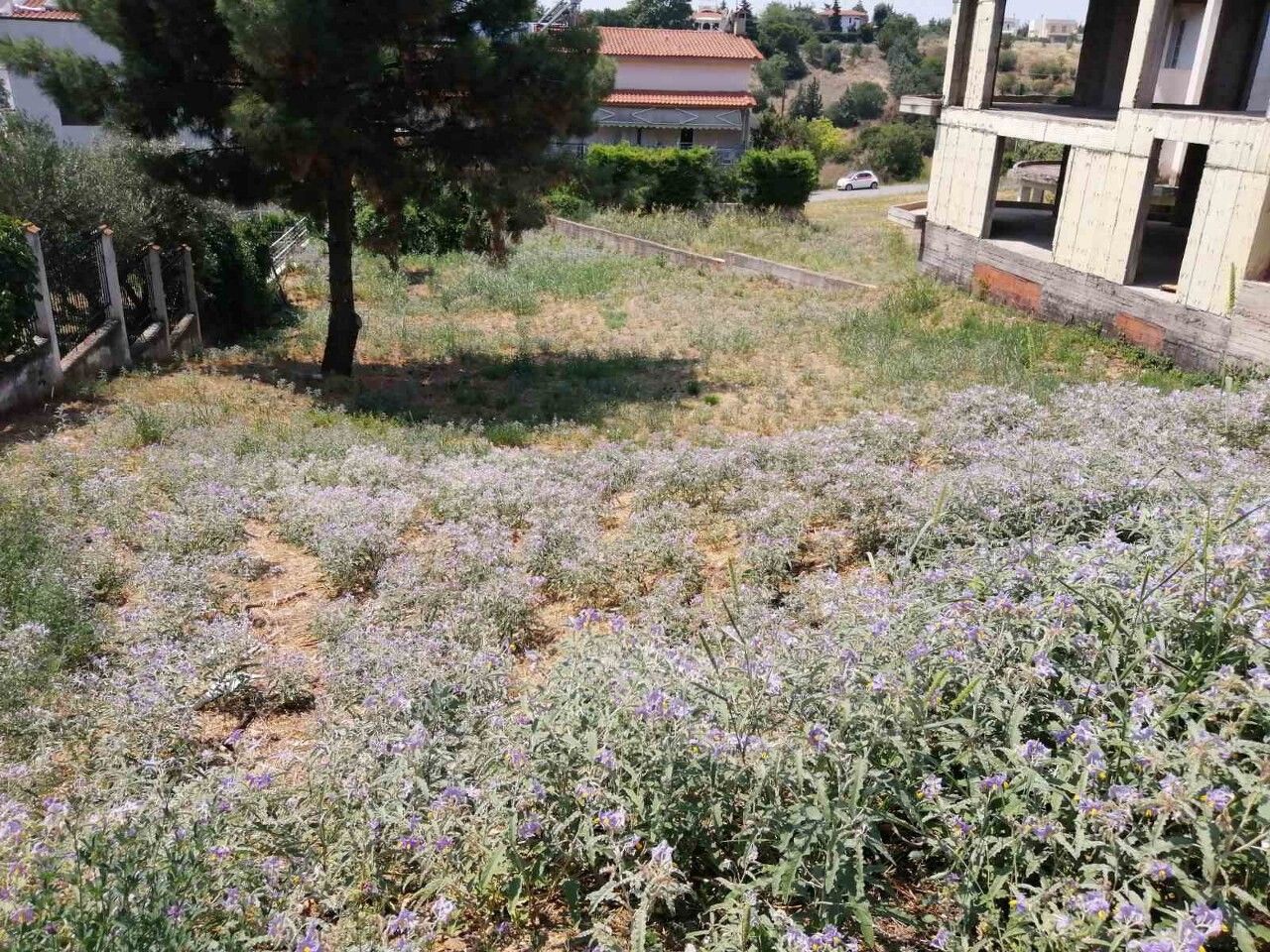 Land in Thessaloniki, Greece, 750 m² - picture 3