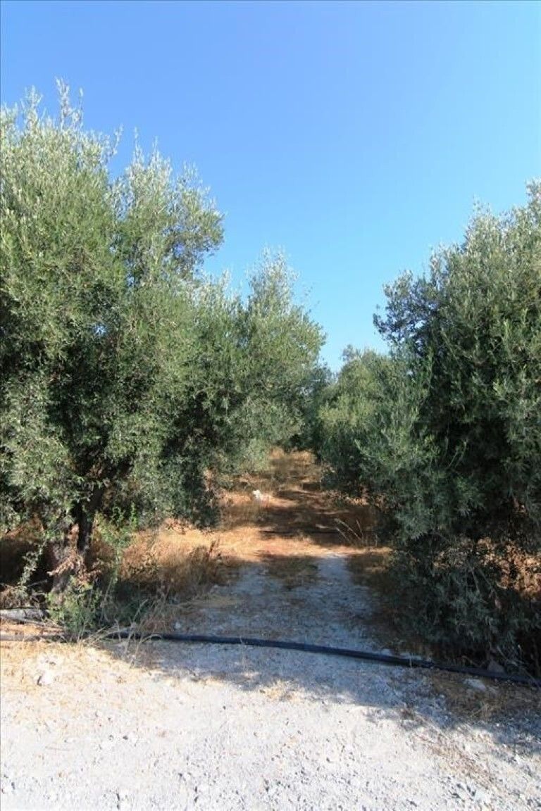Terreno a Heraklion, Grecia, 5 000 m2 - foto 3