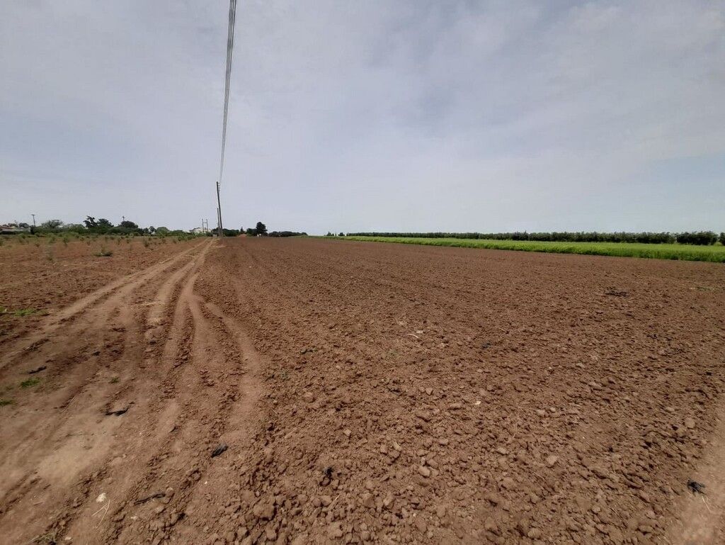 Terrain en Chalcidique, Grèce, 8 628 m² - image 3
