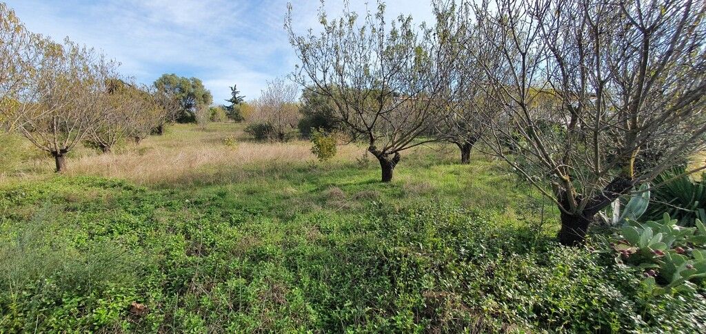 Land in Chalkidiki, Greece, 2 000 m² - picture 3