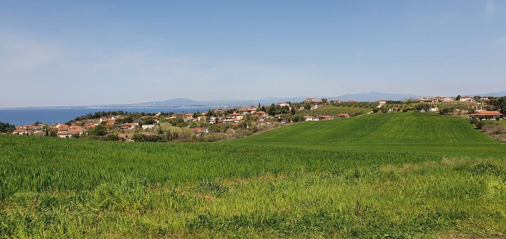 Terrain à Kassandra, Grèce, 5 250 m² - image 3